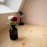 Full House Studios - Citystyle Apartment - Netflix, Wifi Inkl